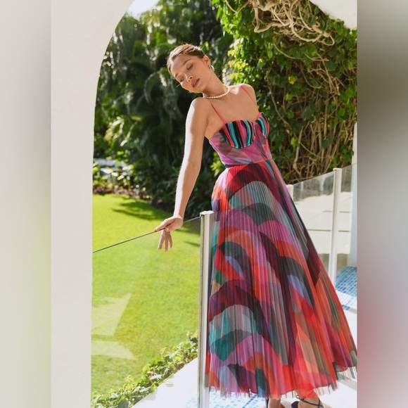 Hutch Dresses & Skirts - Hutch Multicolor Pleated Amara Maxi Dress